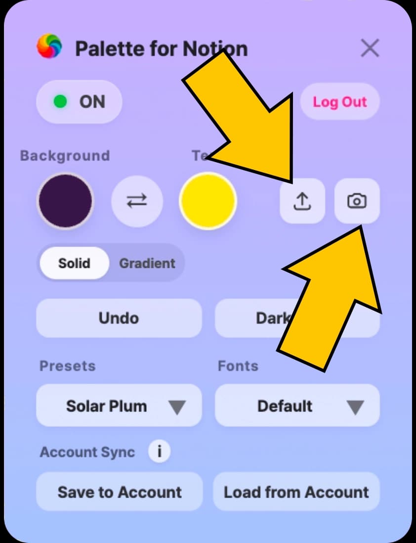 How to use Palette for Notion