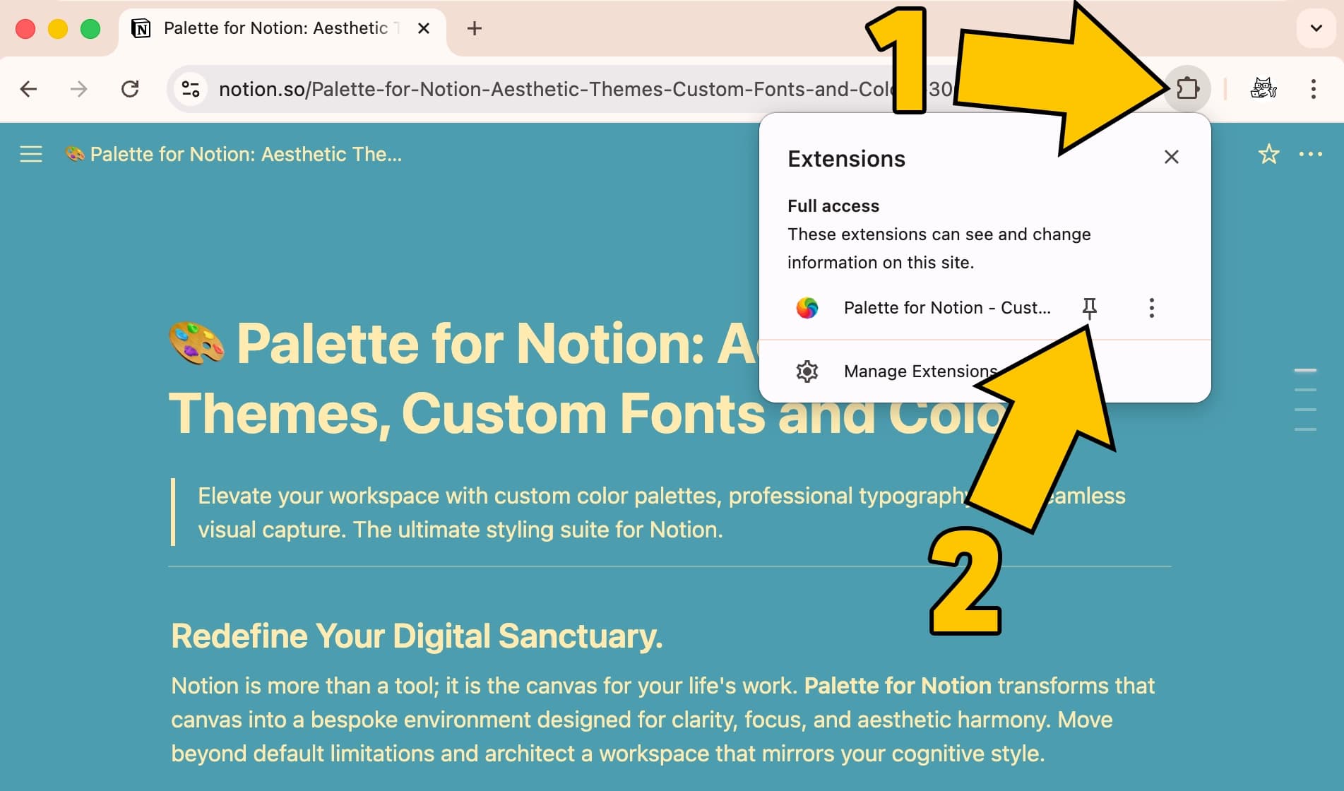 How to pin extension